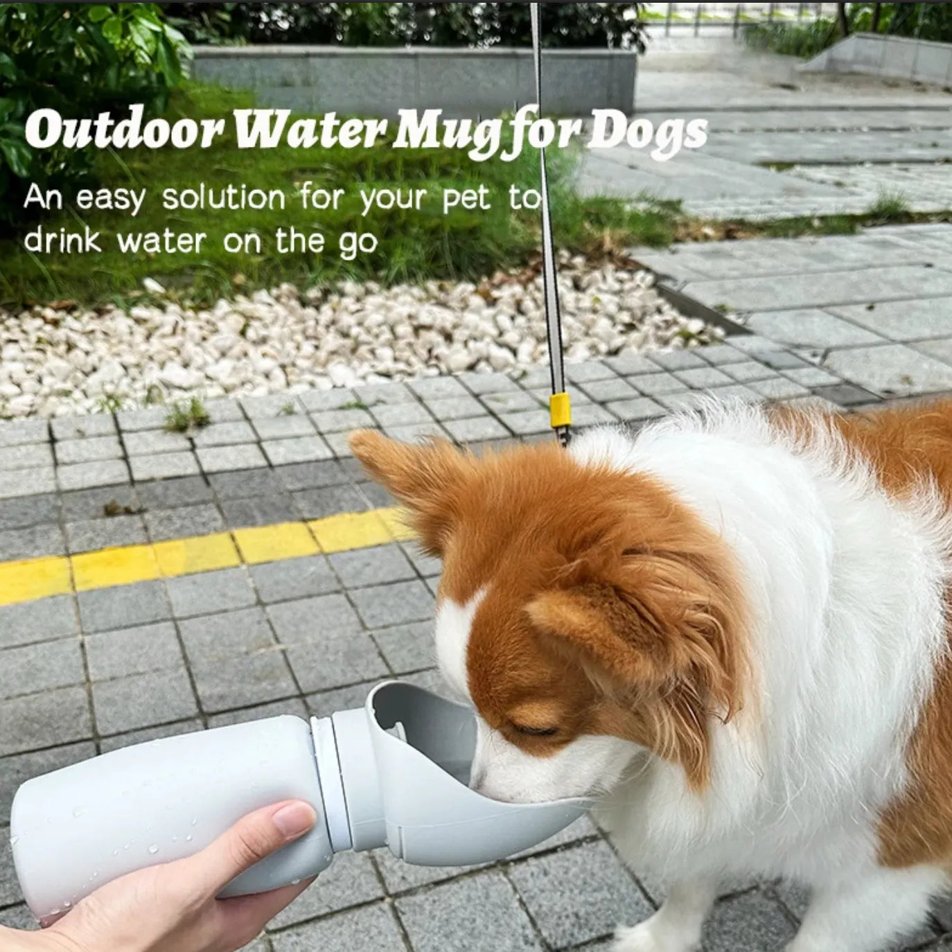 Folding Pet Water Dispenser